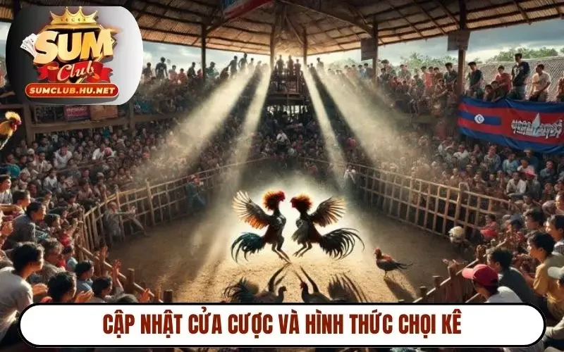 Cập nhật cửa cược và hình thức chọi kê