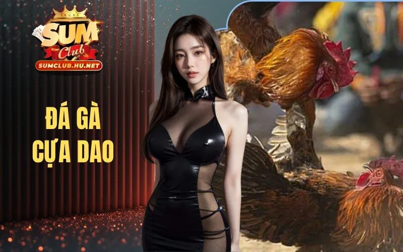 Đá Gà Cựa Dao SUMCLUB - Bùng Nổ Các Trận Đấu Kịch Tính