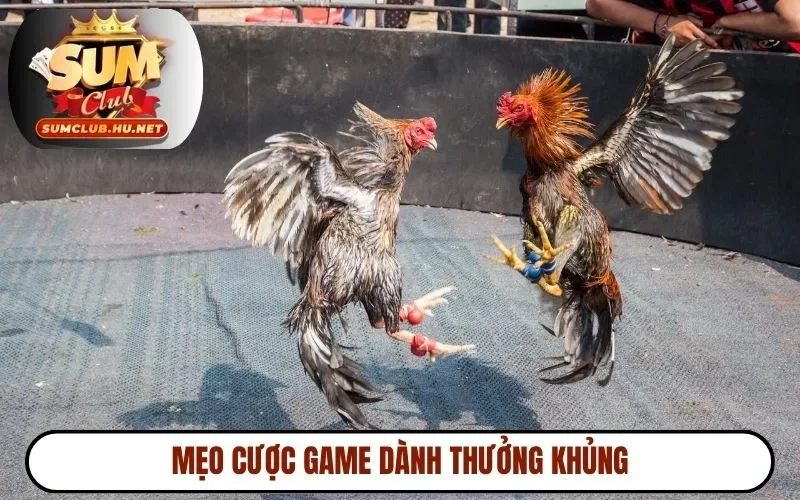 Mẹo cược game dành thưởng khủng