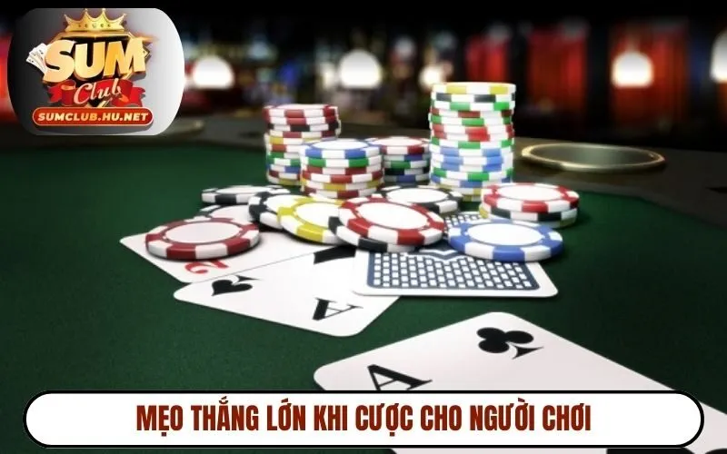 Mẹo thắng lớn khi cược cho người chơi