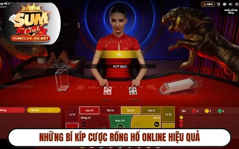 Những bí kíp cược Rồng Hổ online hiệu quả